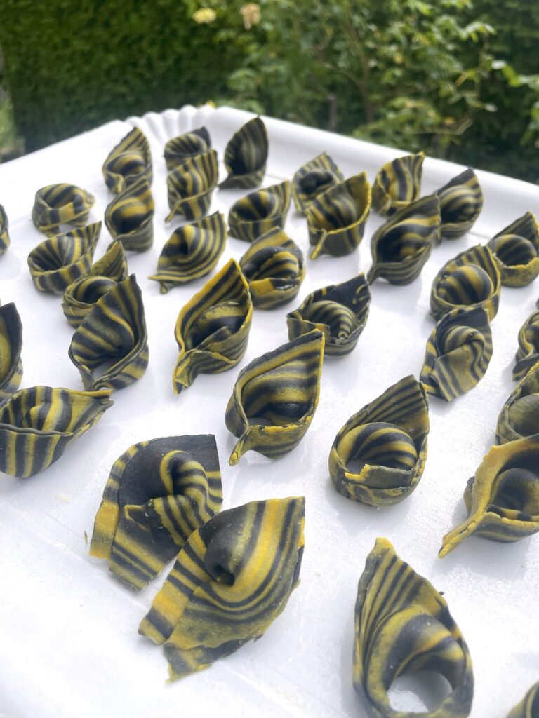 Diversi formati di pasta ripiena