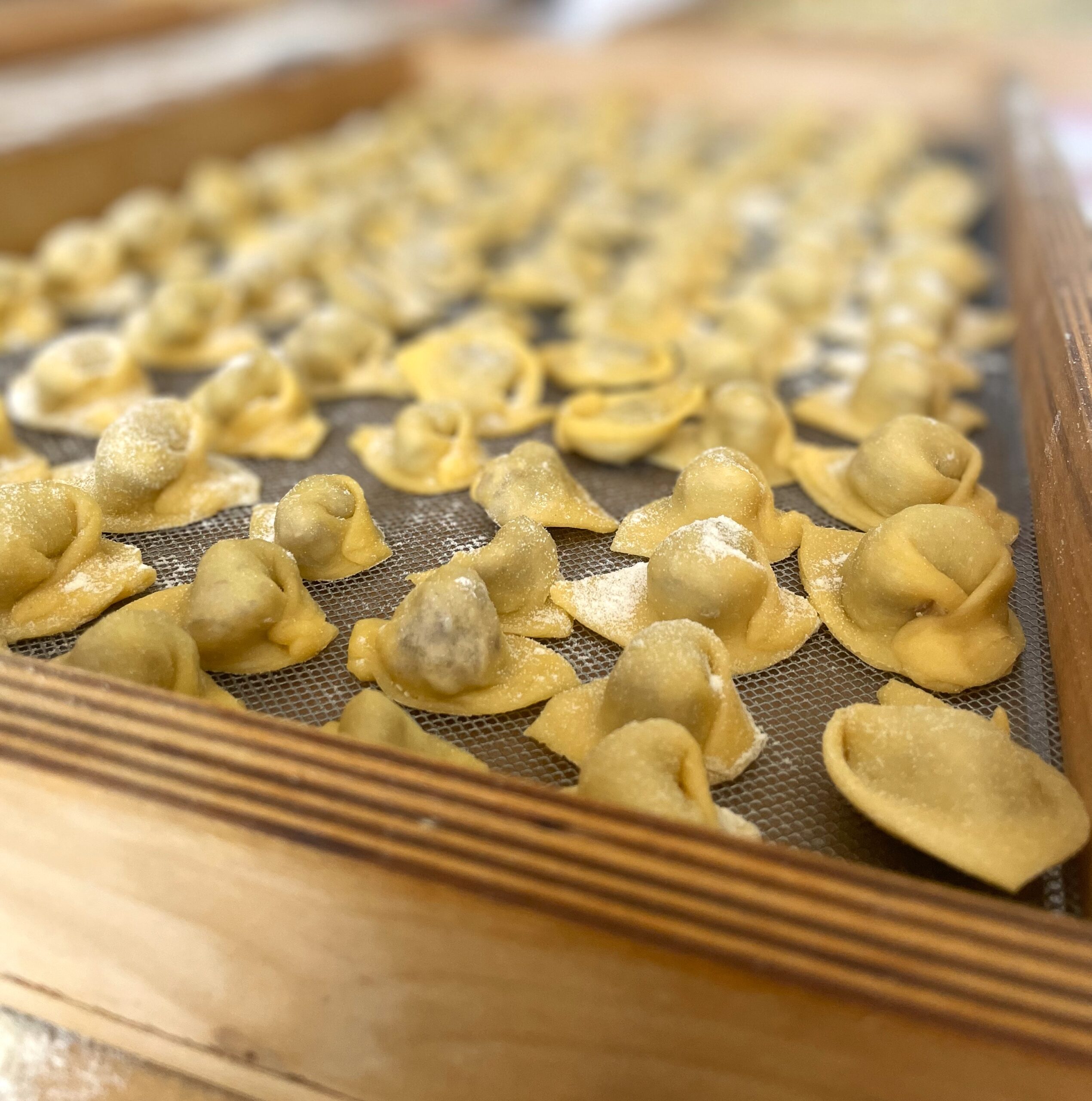 Cappellacci e tortelloni al ripieno di ricotta e spinaci